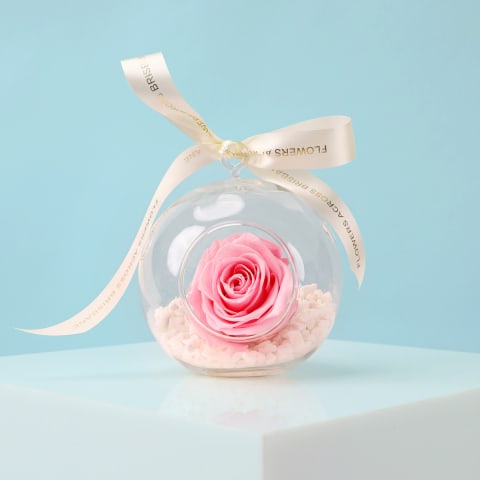 Preserved Pink Rose Orb - Standard 1
