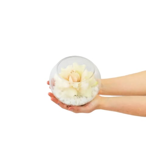 Quicksand Rosette Glass Fish Bowl Arrangement - Standard 1