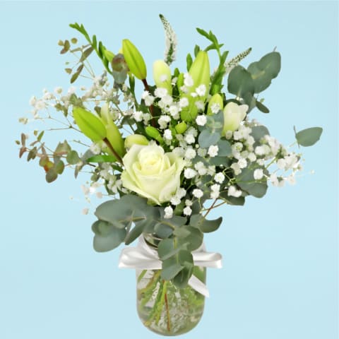 Garden Sprite  - Standard 0