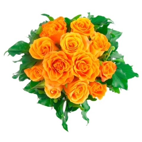 Orange Rose Vase - Standard 1