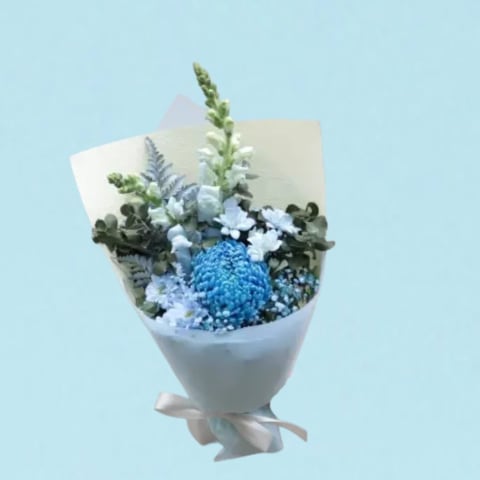 Ice Blue - Standard 0