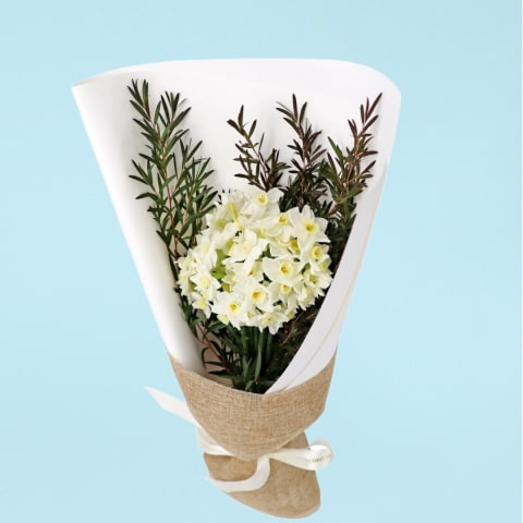 Little Jonqs - Standard 0