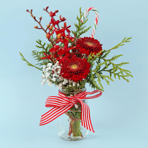 Red Festive Mason Jar  - Standard 0