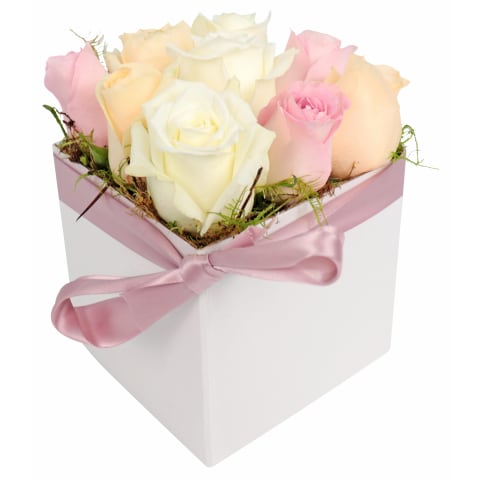 Little Rose Box - Standard 0