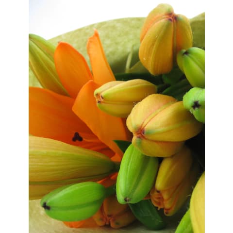 Orange Lily Bunch - Deluxe 2