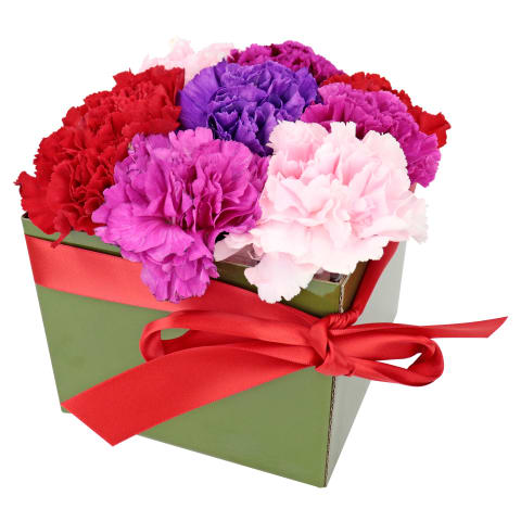 Little Carnation Flower Box – Mixed Colours - Standard 2