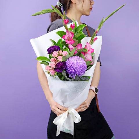 Vivid Collection - Standard 1