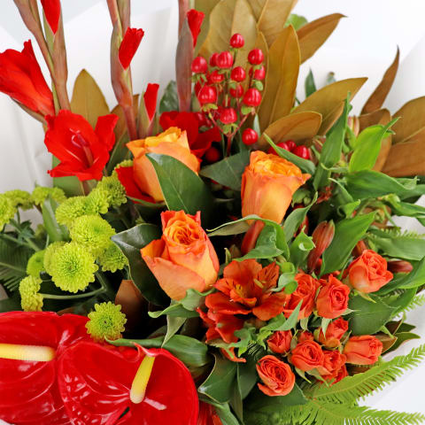 Red Romance - Standard 3