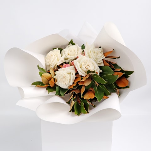 Classic Beauty - Standard 3