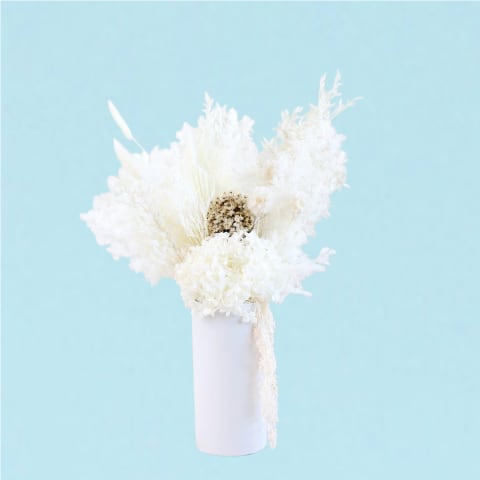 Ivory Dreams  - Standard 0