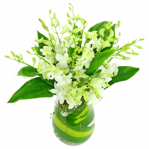 Marvel At Me - Standard 3