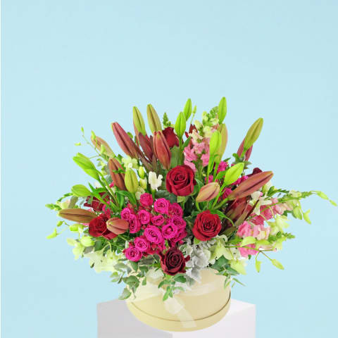 Best In Bloom  - Standard 0