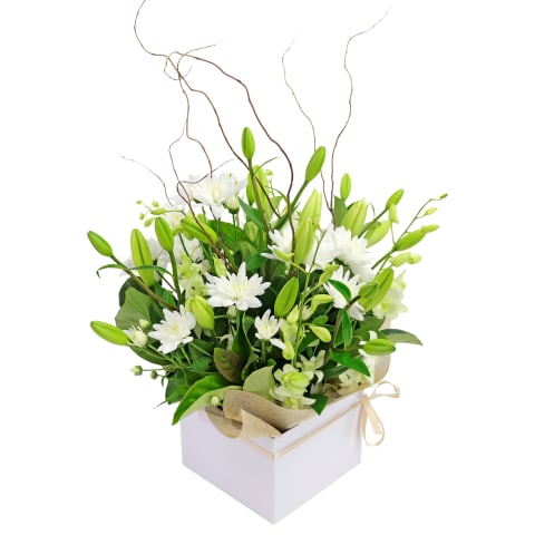 Botanique White Flower Box - Standard 0