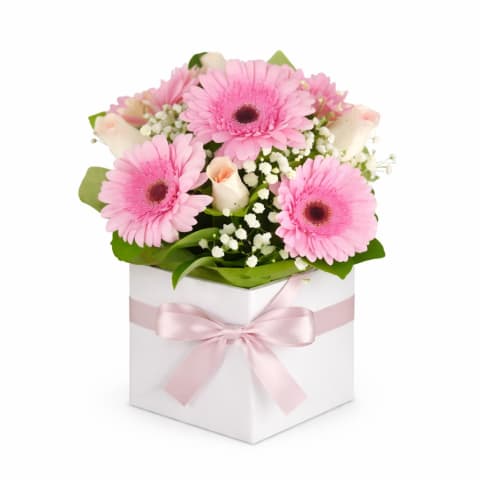 Pretty In Pink - Standard 1