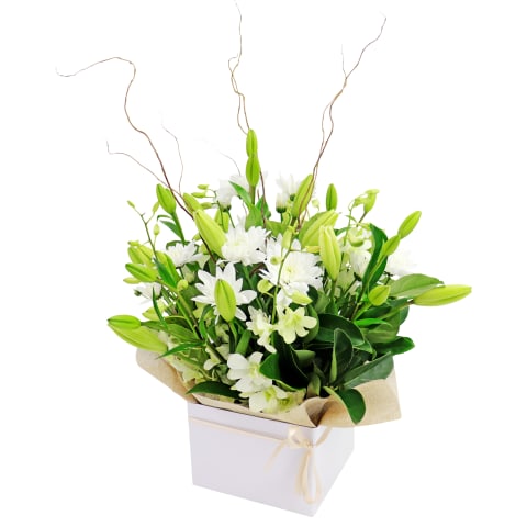 Botanique White Flower Box - Standard 1