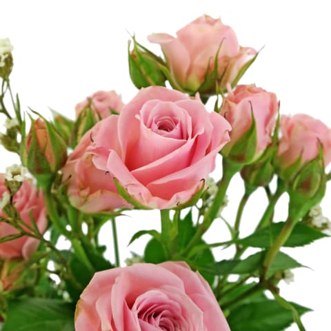 So Sweet Mason Jar Arrangement  - Standard 1