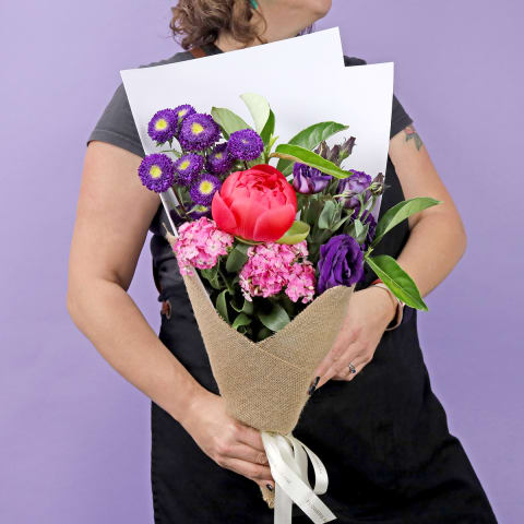 Fuschia - Standard 1