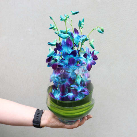 Blue Elegant Orchid Vase Arrangement - Standard 4