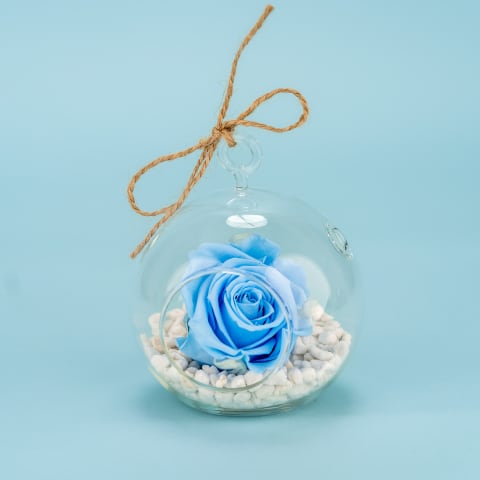Preserved Blue Rose Orb - Standard 1
