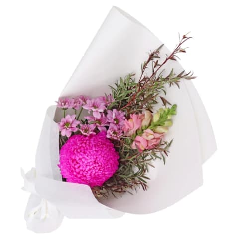 Little Pink Fantasy - Standard 0