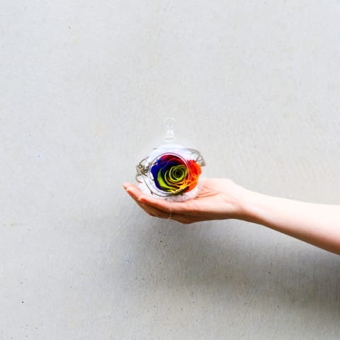 Preserved Rainbow Rose Orb - Standard 2
