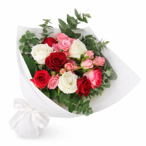 Dance With Me - Standard 0