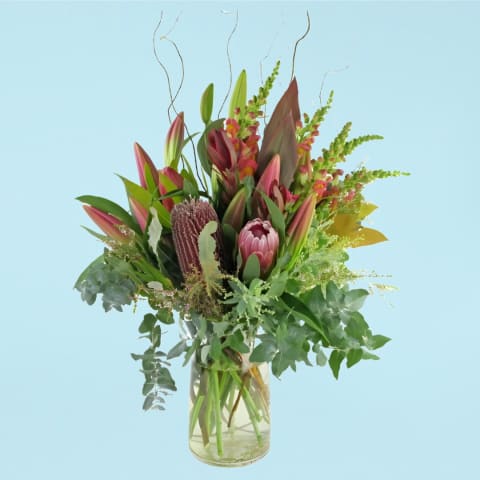 Naturally Aussie  - Standard 0