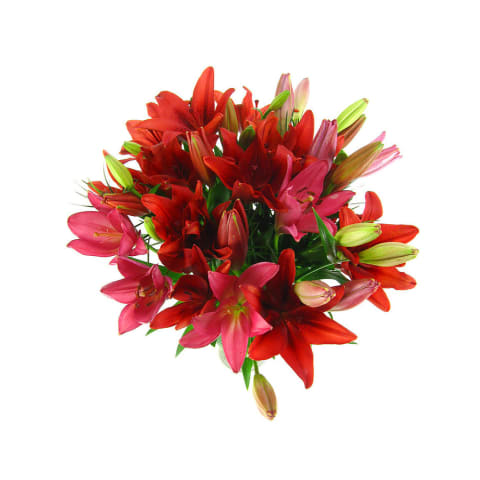 Lilies In A Vase - Premium 3