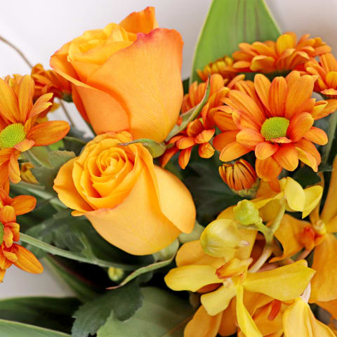 Thoughts Of You - Standard 1