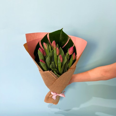 Pink Tulips - Standard 1