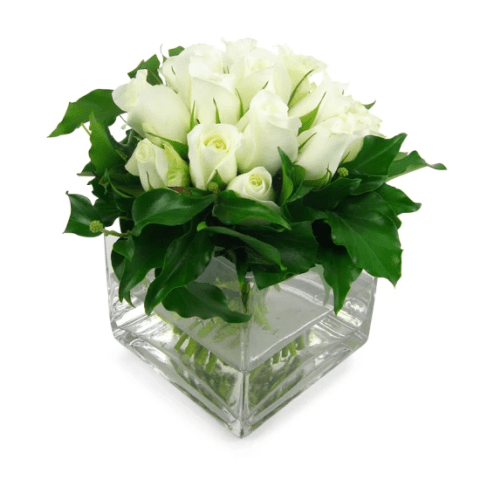 White Rose Vase - Standard 0
