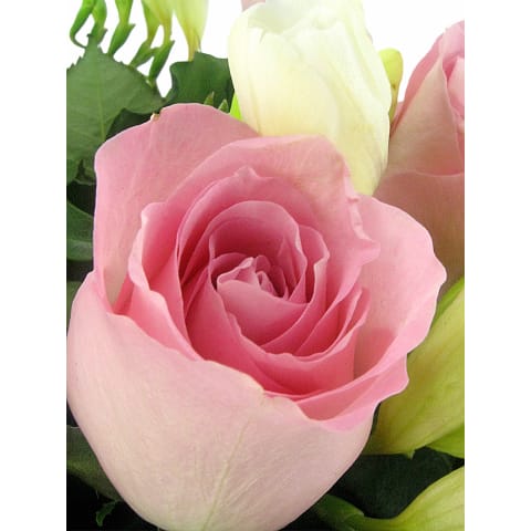 Roses And Freesias Vase - Deluxe 4