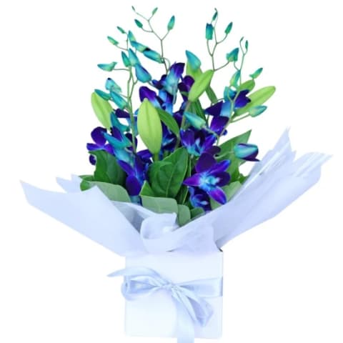 Blue Making Magic Posy Box  - Standard 0