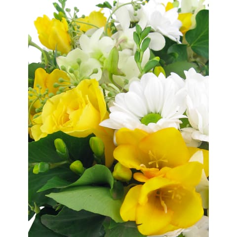 Remembrance Wreath - Standard 1