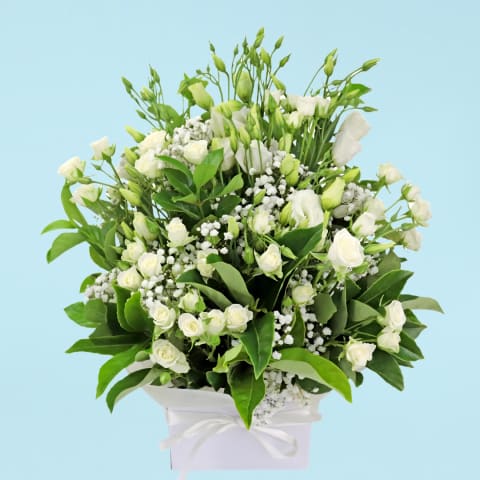 White Serenity - Standard 1