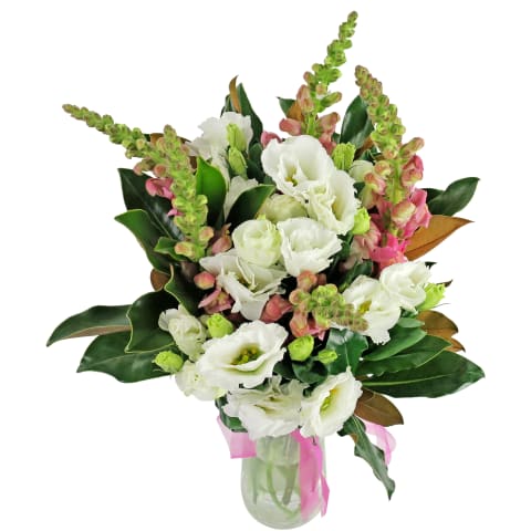 Cat's Meow - Standard 1