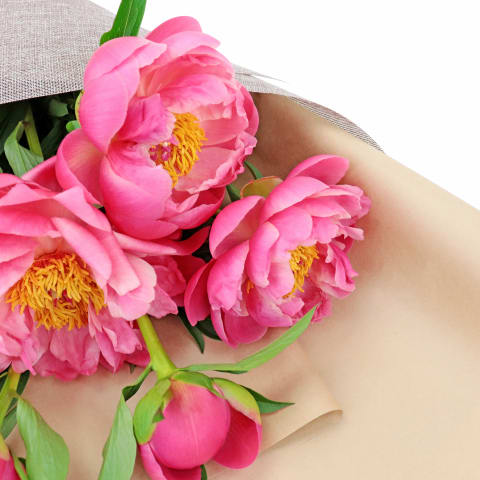 Coral Crush Peonies - Standard 1
