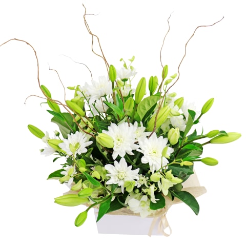 Botanique White Flower Box - Standard 3