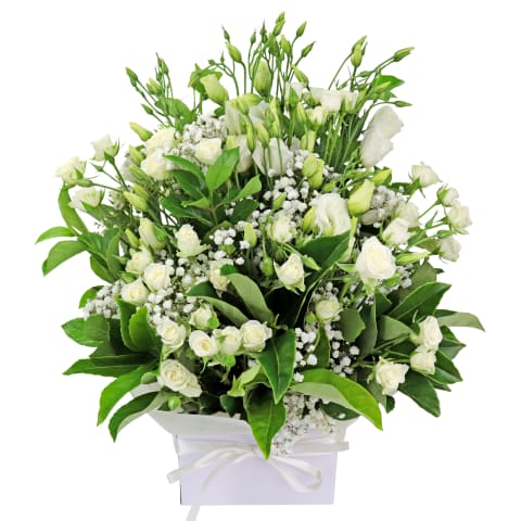 White Serenity - Standard 0