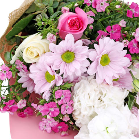 Slow Dance - Standard 2