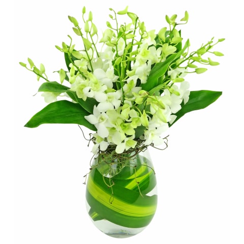 Marvel At Me - Standard 0