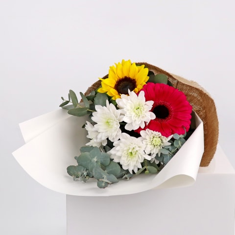 Hello There Bunch - Standard 1