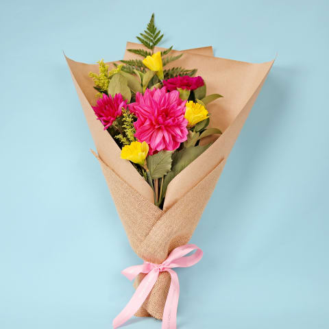 Dahlia Delight  - Standard 0