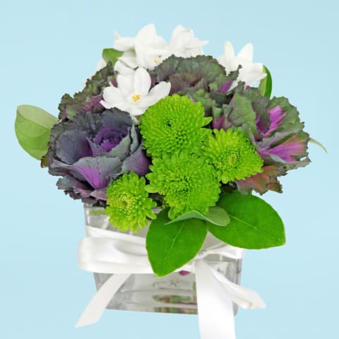 Just For You  - Standard 0