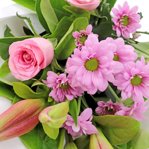 Pink Summer Morning - Standard 0