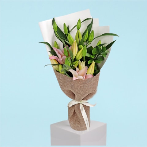 Fragrant Oriental Pink Lilies - Standard 0