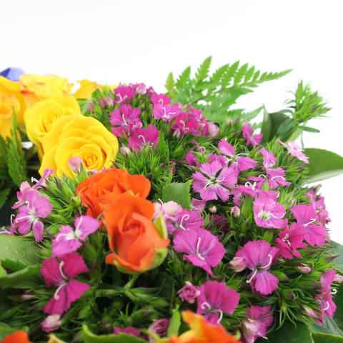 Vibrance Colourful Sympathy Wreath - Standard 3