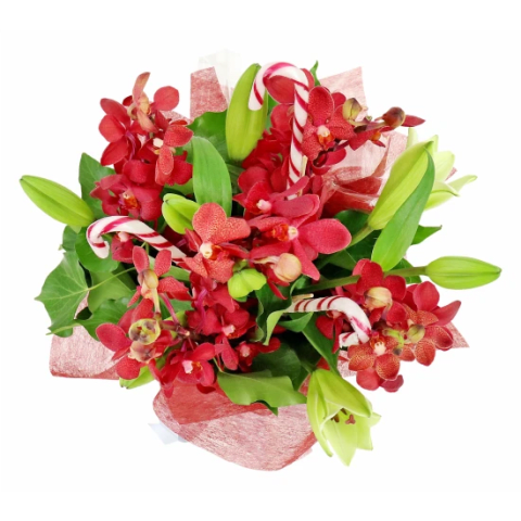 Making Xmas Magic Red & White - Standard 1