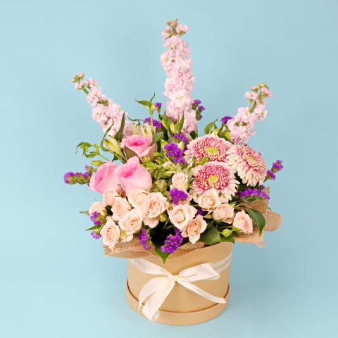 Pet-Safe Petals Hat Box - Standard 0