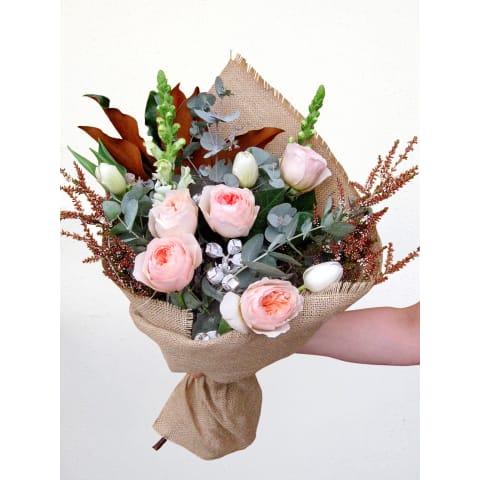 Bellissima - Standard 4